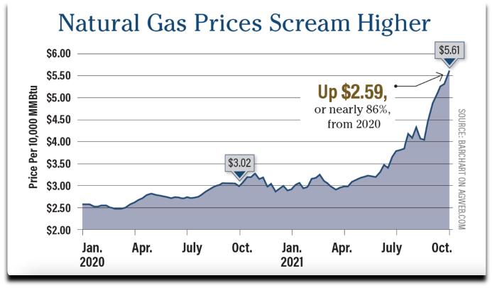 Natural Gas